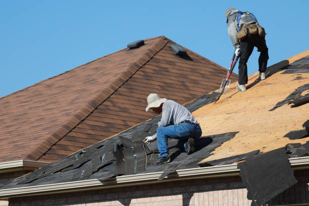 Best Roof Maintenance and Cleaning  in Kapaau, HI