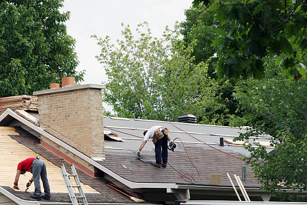 Best Roof Insulation Installation  in Kapaau, HI